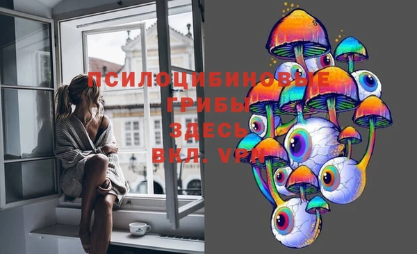 PSILOCYBIN Долгопрудный