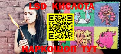 спайс Будённовск
