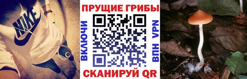 Псилоцибиновые грибы MAGIC MUSHROOMS  как найти закладки  Донецк 
